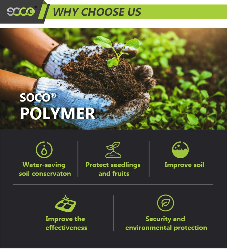 High Water Absorption Water Saving 100% Safety Polymer Polyacrylate Potassium Based Soil Conditioner Hydrogel Polymer for Agriculture