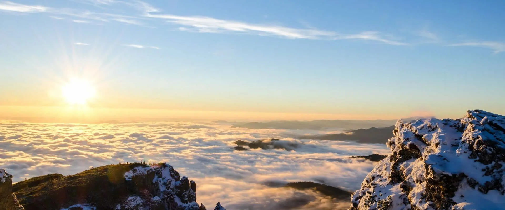 Wide-ranging knowledge in sales and production